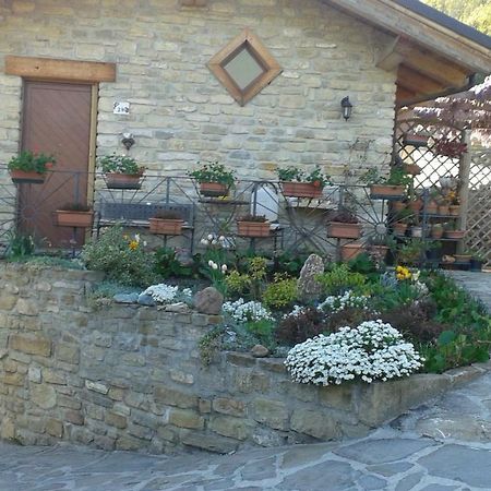 Ca D' Fefi Bed & Breakfast Gorzegno Eksteriør bilde