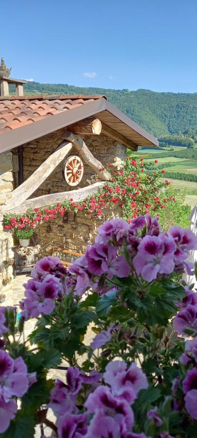 Ca D' Fefi Bed & Breakfast Gorzegno Eksteriør bilde